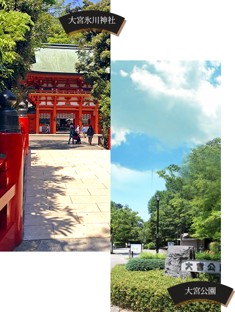 大宮氷川神社・大宮公園